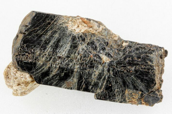 Fluoro-Magnesiokatophorite crystal - Ontario, CA #37801